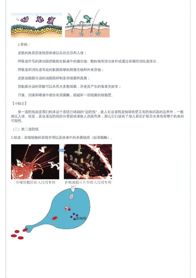 《05讲-f988ccdbbe40_学而思高二全套_2019年暑假高二(1)_高二暑生物陆魏巍_讲义》第3页预览