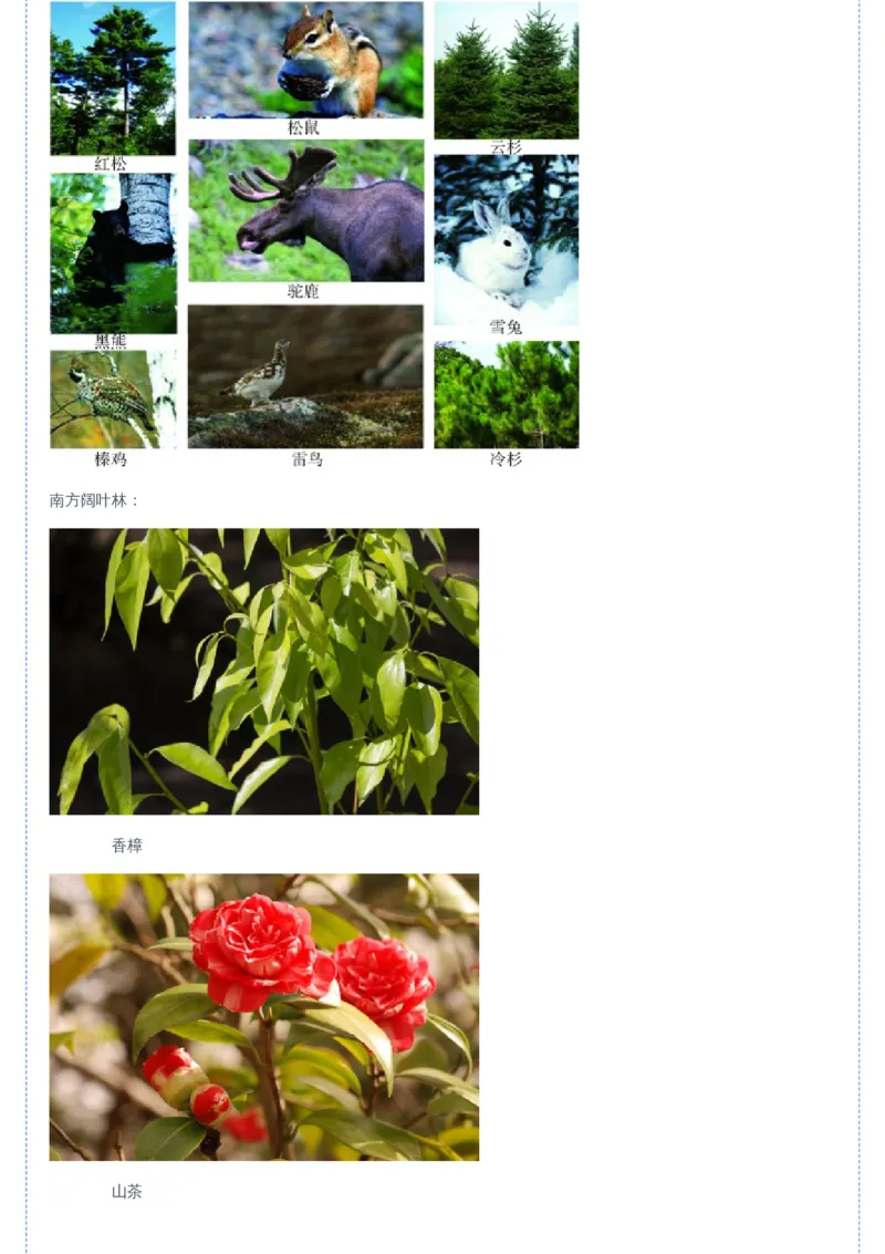 《08讲-49b88a1204af_学而思高二全套_2019年暑假高二(1)_高二暑生物陆魏巍_讲义》第3页预览