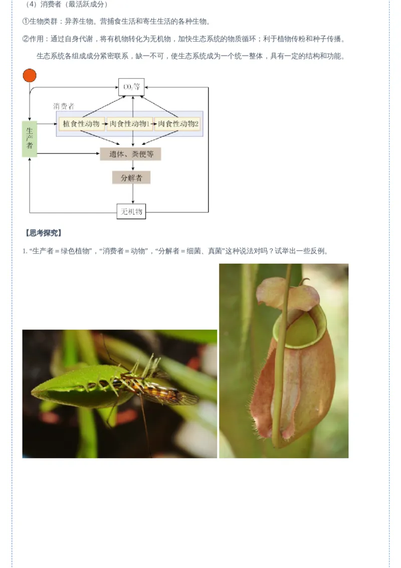 《09讲-88ce2ba7255e_学而思高二全套_2019年暑假高二(1)_高二暑生物陆魏巍_讲义》第5页预览