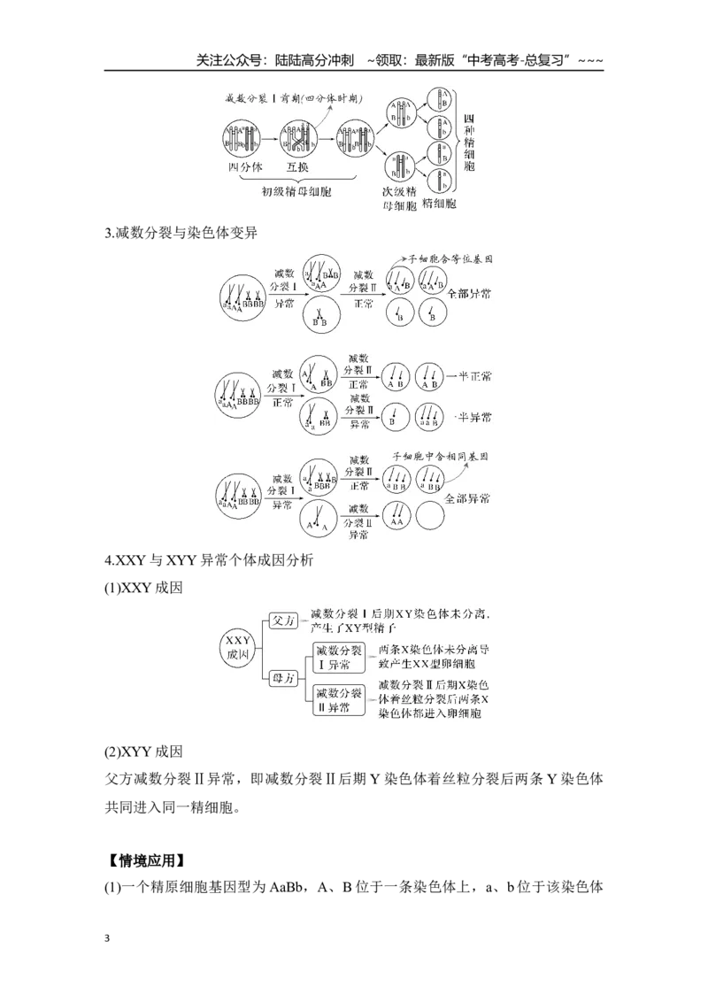 《微专题7：细胞分裂与变异、细胞自噬、焦亡、铁死亡等_06-生物-高考总复习_一轮复习_2026年-生物高考一轮复习_12026届高三生物一轮复习讲义》第3页预览