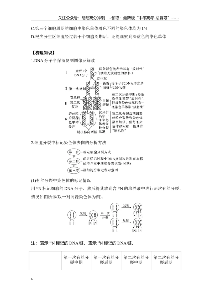 《微专题7：细胞分裂与变异、细胞自噬、焦亡、铁死亡等_06-生物-高考总复习_一轮复习_2026年-生物高考一轮复习_12026届高三生物一轮复习讲义》第6页预览