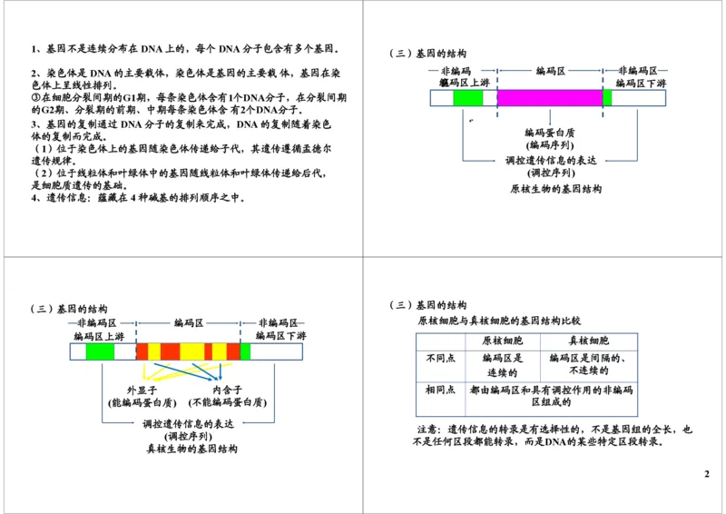 《基因的本质与功能-基因的结构与表达-fa752cd4251d_学而思高三全套_高三录播课程各种版本_高三一轮二轮_29709-56高考生物一轮总复习（必修+选修1、3）》第2页预览