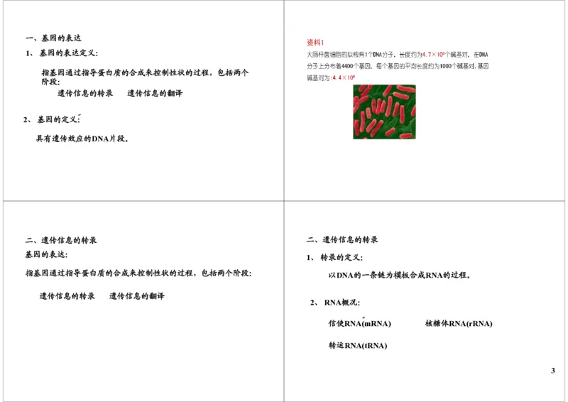 《基因的本质与功能-基因的结构与表达-fa752cd4251d_学而思高三全套_高三录播课程各种版本_高三一轮二轮_29709-56高考生物一轮总复习（必修+选修1、3）》第3页预览