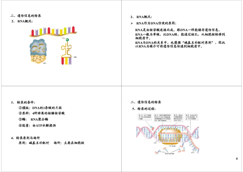 《基因的本质与功能-基因的结构与表达-fa752cd4251d_学而思高三全套_高三录播课程各种版本_高三一轮二轮_29709-56高考生物一轮总复习（必修+选修1、3）》第4页预览