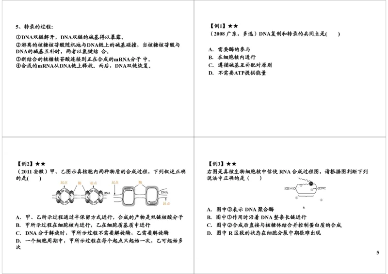 《基因的本质与功能-基因的结构与表达-fa752cd4251d_学而思高三全套_高三录播课程各种版本_高三一轮二轮_29709-56高考生物一轮总复习（必修+选修1、3）》第5页预览