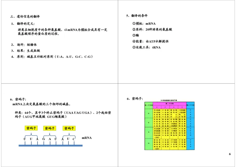 《基因的本质与功能-基因的结构与表达-fa752cd4251d_学而思高三全套_高三录播课程各种版本_高三一轮二轮_29709-56高考生物一轮总复习（必修+选修1、3）》第6页预览