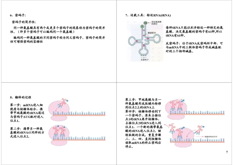 《基因的本质与功能-基因的结构与表达-fa752cd4251d_学而思高三全套_高三录播课程各种版本_高三一轮二轮_29709-56高考生物一轮总复习（必修+选修1、3）》第7页预览