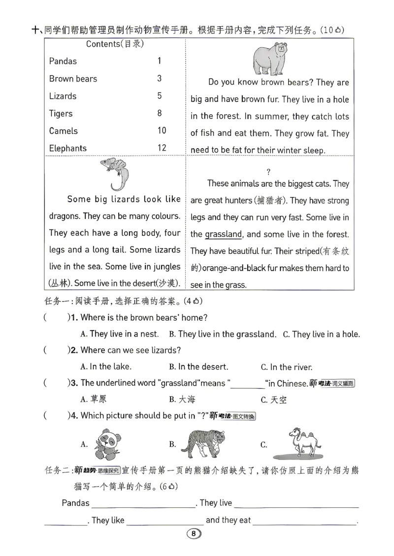 《试卷综合素养_2026秋小学《典中点》3-6上英语（沪教）_4上》第10页预览