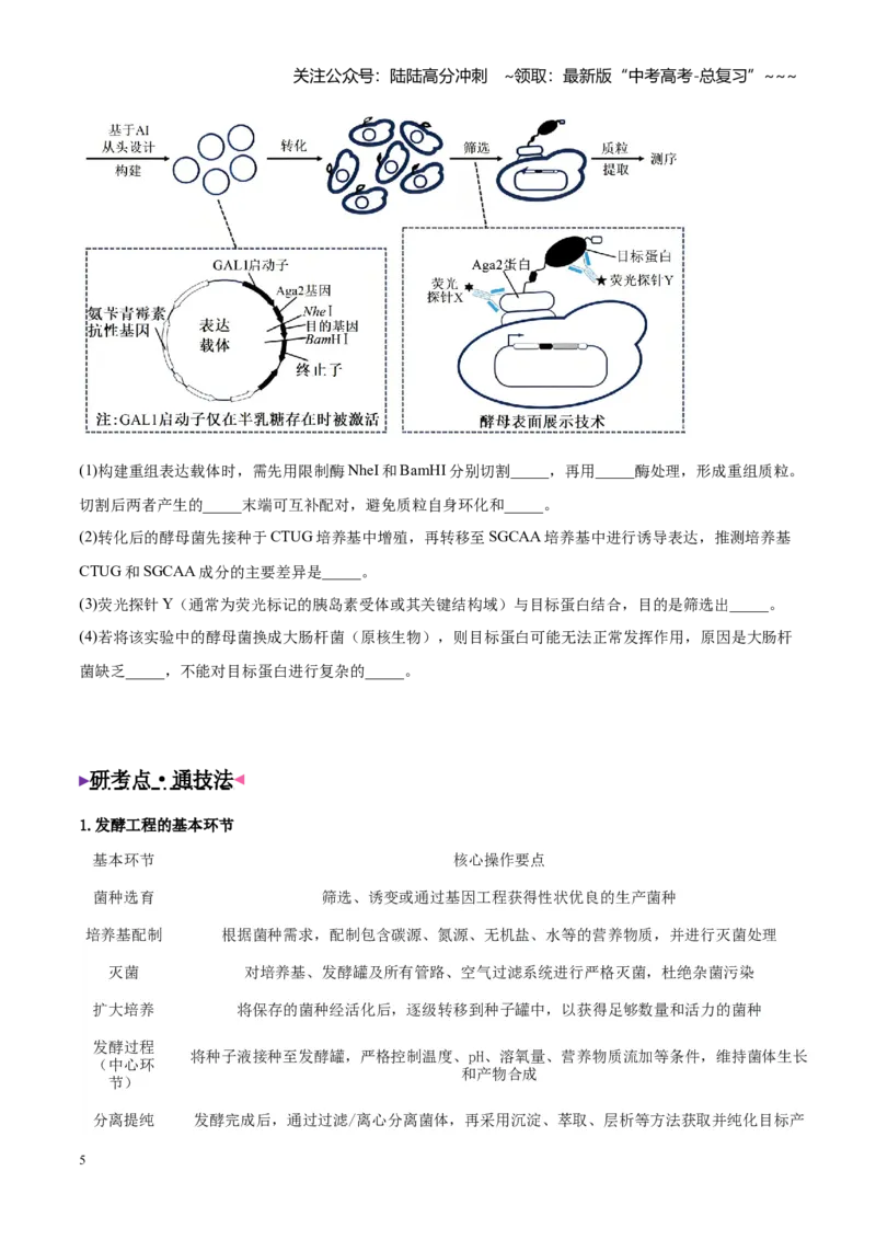 《大题05生物技术与工程（2大热点角度精讲精练）（黑吉辽蒙专用）(学生版)_06-生物-高考总复习_专项复习_2026年-生物高考专项复习_2026年高考生物终极冲刺讲练测（黑吉辽蒙专用）-G466_2026版》第5页预览