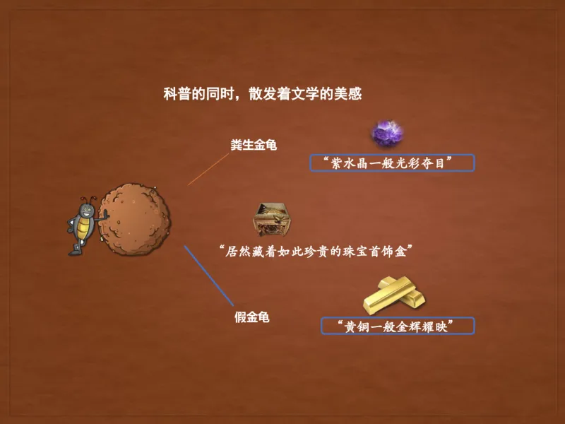 《糖果班四年级第三讲《昆虫记》-4569257818b0_小学学而思全套_四年级全套_四年级2020年暑-2021年的直播课_2020年秋季课程四年级_2020年秋季课程四年级语文_第三讲资料》第10页预览