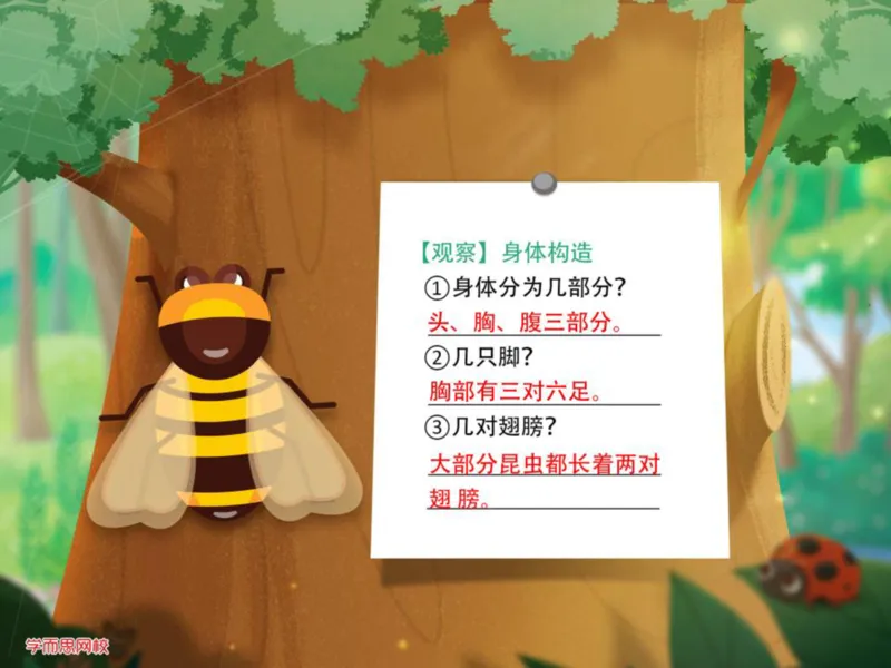 《糖果班四年级第三讲《昆虫记》-4569257818b0_小学学而思全套_四年级全套_四年级2020年暑-2021年的直播课_2020年秋季课程四年级_2020年秋季课程四年级语文_第三讲资料》第5页预览