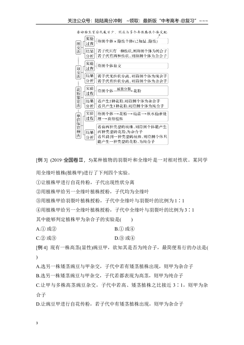 《微专题8：分离定律重点题型的解题建模_06-生物-高考总复习_一轮复习_2026年-生物高考一轮复习_12026届高三生物一轮复习讲义》第3页预览