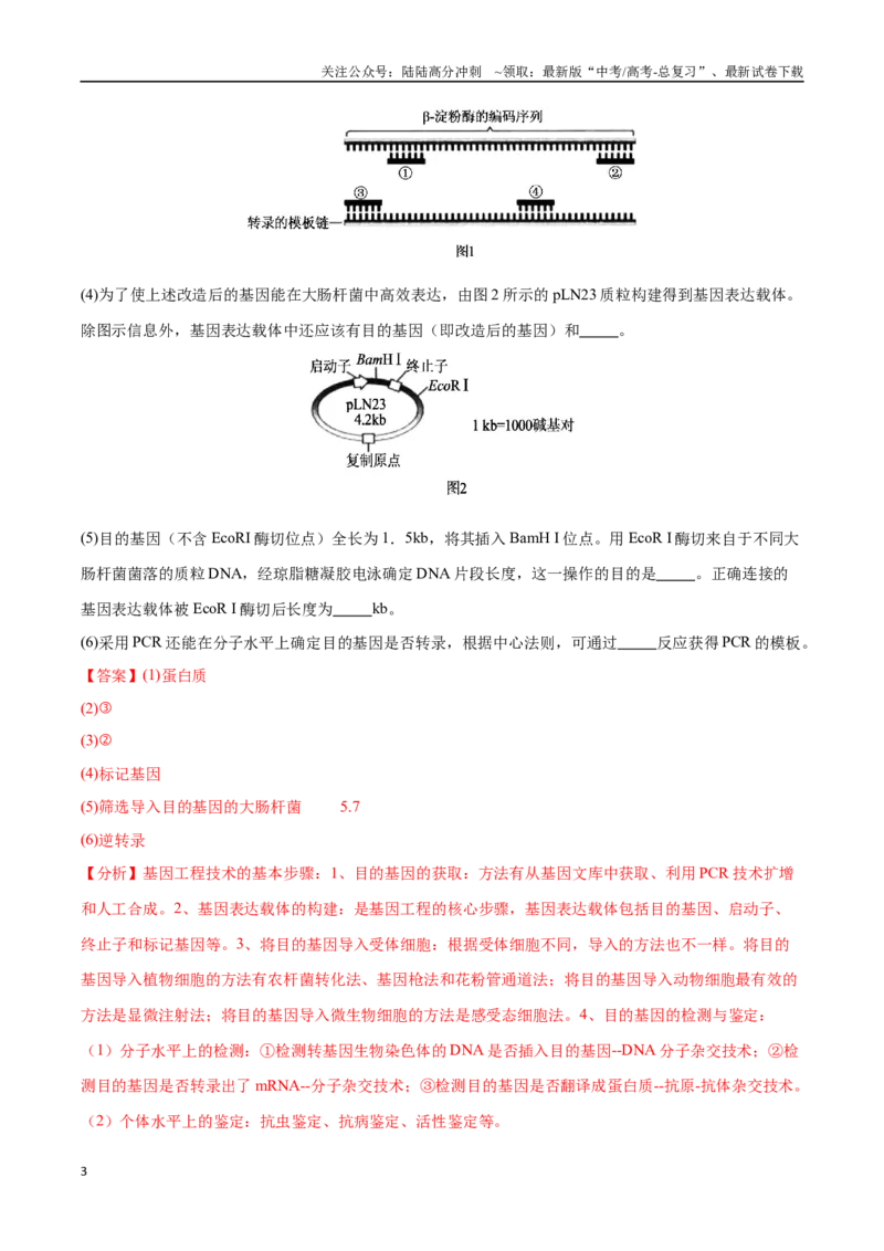 《大题05基因工程（黑吉辽蒙专用）（教师版）_06-生物-高考总复习_专项复习_2025年_2025年高考生物大题突破+限时集训（黑吉辽蒙专用）》第3页预览