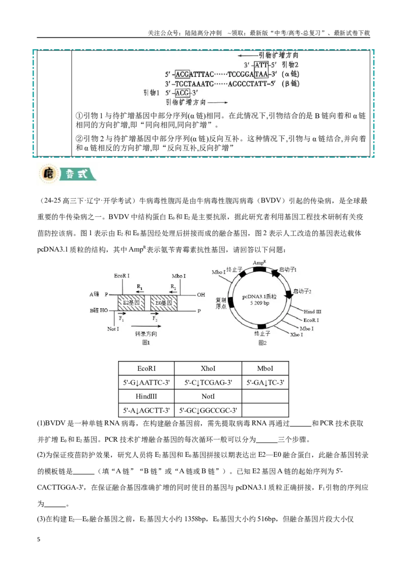 《大题05基因工程（黑吉辽蒙专用）（教师版）_06-生物-高考总复习_专项复习_2025年_2025年高考生物大题突破+限时集训（黑吉辽蒙专用）》第5页预览
