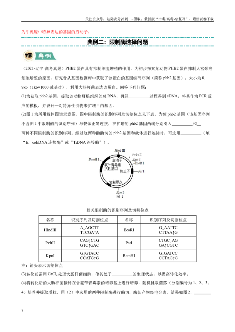 《大题05基因工程（黑吉辽蒙专用）（教师版）_06-生物-高考总复习_专项复习_2025年_2025年高考生物大题突破+限时集训（黑吉辽蒙专用）》第7页预览
