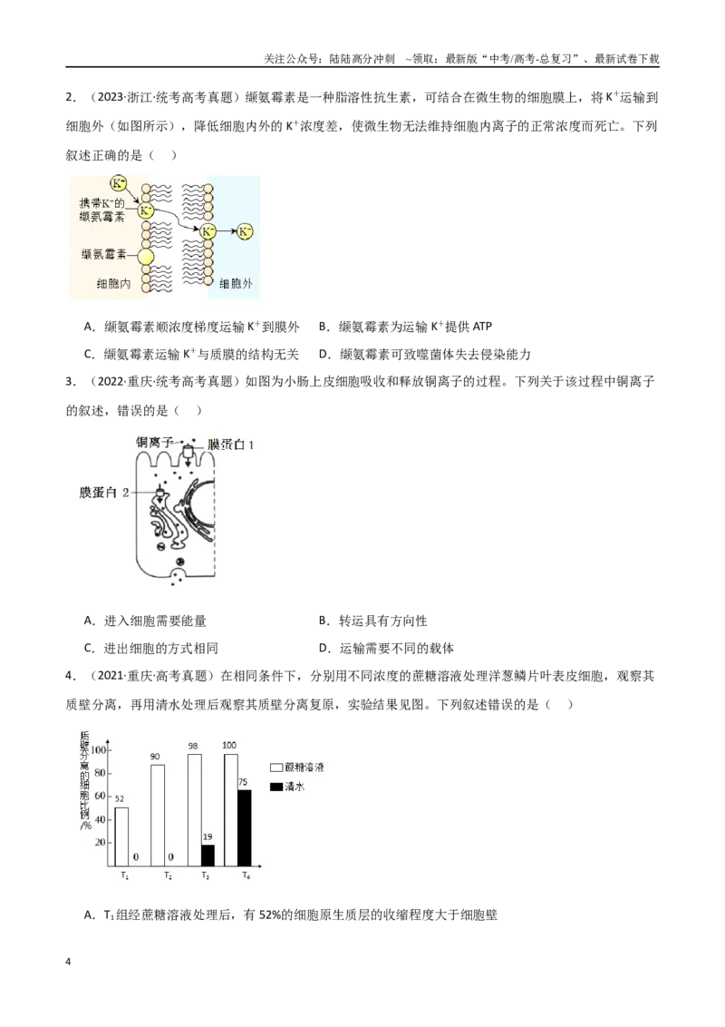 《宝典03细胞的物质输入和输出（原卷版）_06-生物-高考总复习_一轮复习_2024年_2024年高考生物一轮复习知识清单必背总结全国通用_资料》第4页预览