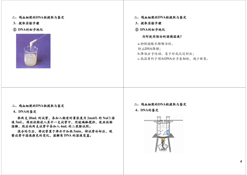 《DNA粗提取（一轮下）-8fdaf783f48a_学而思高三全套_高三录播课程各种版本_高三一轮二轮_29709-56高考生物一轮总复习（必修+选修1、3）_第44讲：DNA粗提取（一轮下）》第4页预览