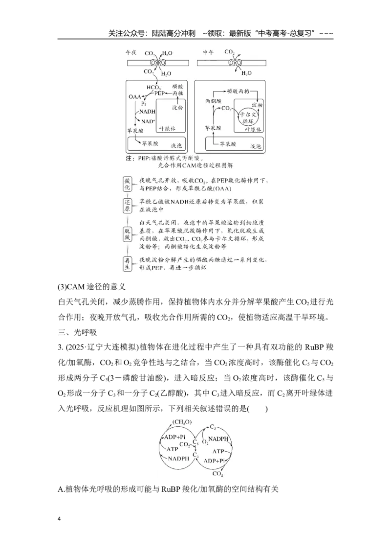 《微专题6：光呼吸、C4植物、CAM植物等特殊代谢类型训练_06-生物-高考总复习_一轮复习_2026年-生物高考一轮复习_12026届高三生物一轮复习讲义》第4页预览