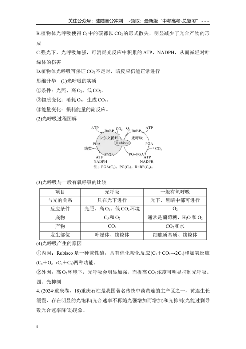 《微专题6：光呼吸、C4植物、CAM植物等特殊代谢类型训练_06-生物-高考总复习_一轮复习_2026年-生物高考一轮复习_12026届高三生物一轮复习讲义》第5页预览