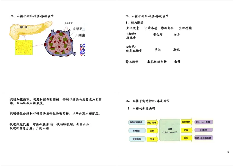 《体液调节-下丘脑-垂体-内分泌腺轴及血糖调节（一轮下）-6cfc5b292104_学而思高三全套_高三录播课程各种版本_高三一轮二轮_29709-56高考生物一轮总复习（必修+选修1、3）》第5页预览