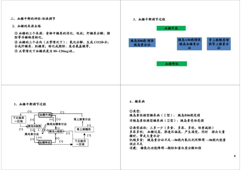 《体液调节-下丘脑-垂体-内分泌腺轴及血糖调节（一轮下）-6cfc5b292104_学而思高三全套_高三录播课程各种版本_高三一轮二轮_29709-56高考生物一轮总复习（必修+选修1、3）》第6页预览