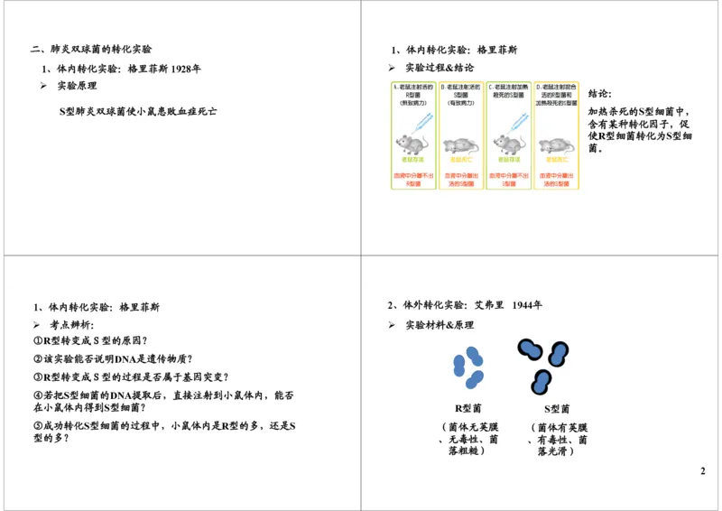 《基因的本质与功能-DNA是遗传物质的证据-9029b58b9611_学而思高三全套_高三录播课程各种版本_高三一轮二轮_29709-56高考生物一轮总复习（必修+选修1、3）》第2页预览