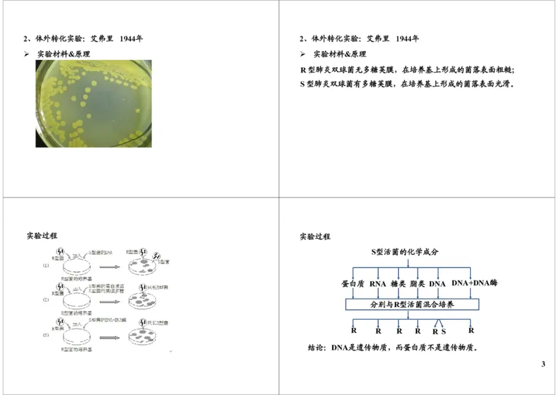 《基因的本质与功能-DNA是遗传物质的证据-9029b58b9611_学而思高三全套_高三录播课程各种版本_高三一轮二轮_29709-56高考生物一轮总复习（必修+选修1、3）》第3页预览