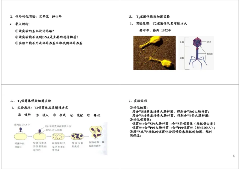《基因的本质与功能-DNA是遗传物质的证据-9029b58b9611_学而思高三全套_高三录播课程各种版本_高三一轮二轮_29709-56高考生物一轮总复习（必修+选修1、3）》第4页预览