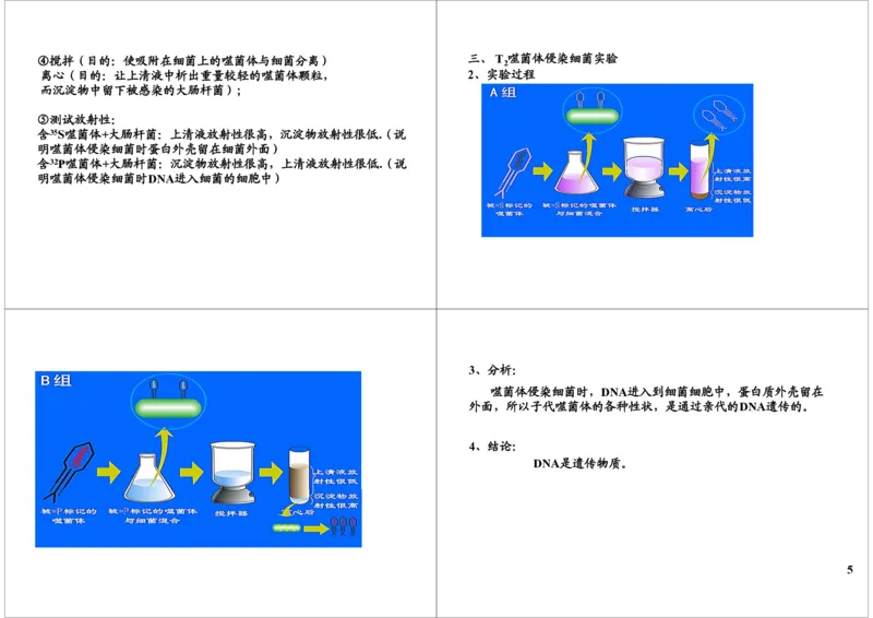 《基因的本质与功能-DNA是遗传物质的证据-9029b58b9611_学而思高三全套_高三录播课程各种版本_高三一轮二轮_29709-56高考生物一轮总复习（必修+选修1、3）》第5页预览