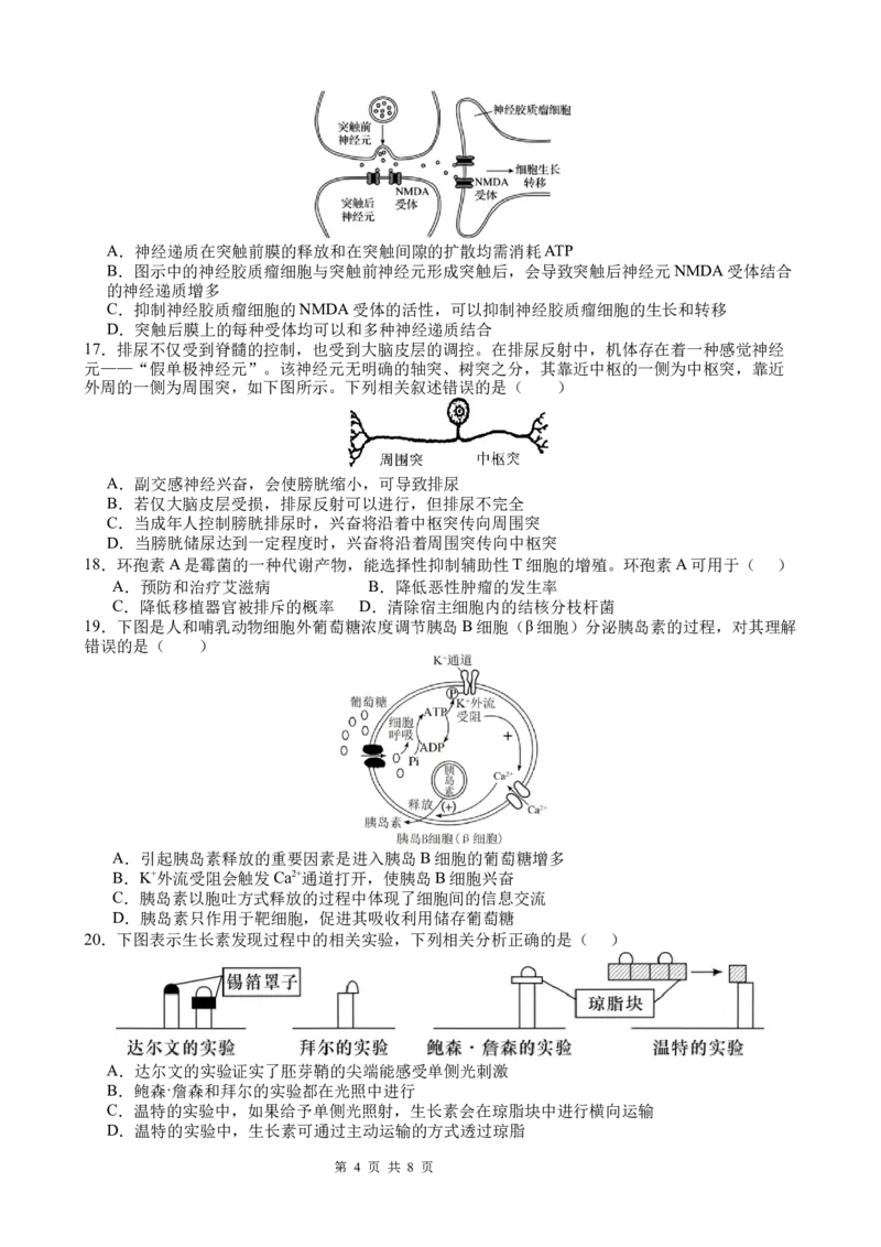 《生物_2026年高二《月考+期中考+阶段性检测真题合集》全国各省全科无水印_四川省南充高级中学2025-2026学年高二上学期12月月考试题（全）》第4页预览
