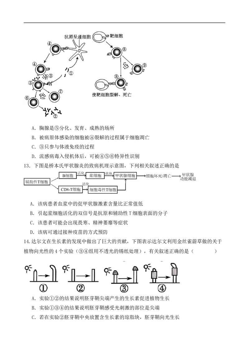 《黑龙江省五常市雅臣中学校2025-2026学年高二上学期12月月考生物试题_20272025-2026学年高二上学期《月考+阶段检测类试卷合集》全国多省全科（100套）》第5页预览