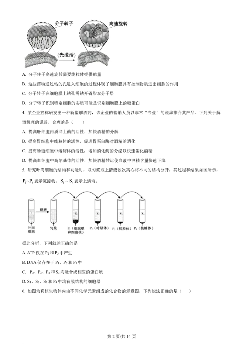 《高二上学期开学检测考试生物试题_2027版《高二上学期开学摸底检测卷》9科全套》第2页预览