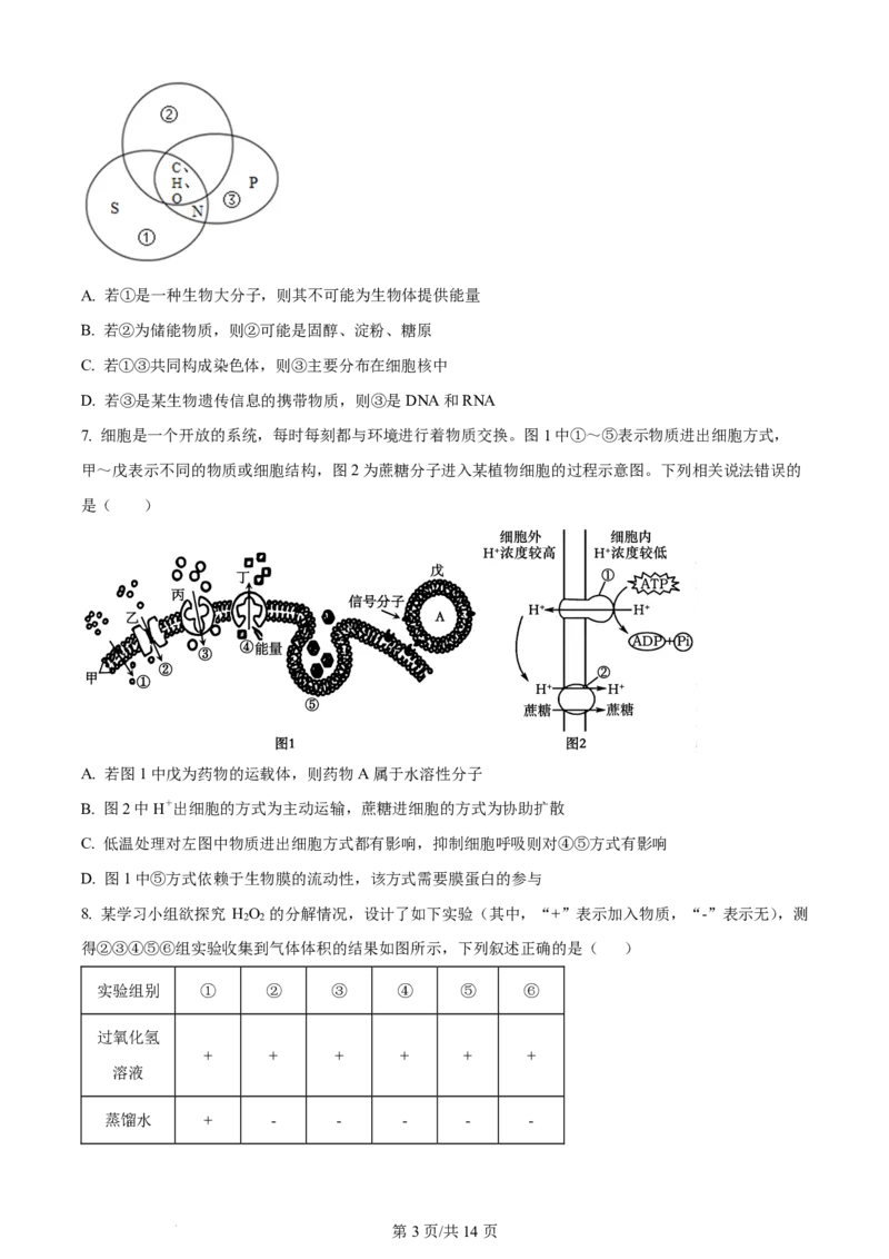 《高二上学期开学检测考试生物试题_2027版《高二上学期开学摸底检测卷》9科全套》第3页预览