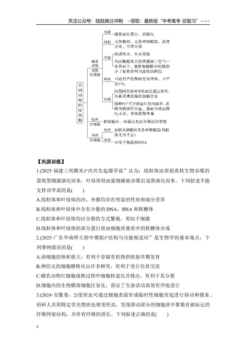 《微专题2：结构与功能观、蛋白质的分选与囊泡运输_06-生物-高考总复习_一轮复习_2026年-生物高考一轮复习_12026届高三生物一轮复习讲义》第3页预览