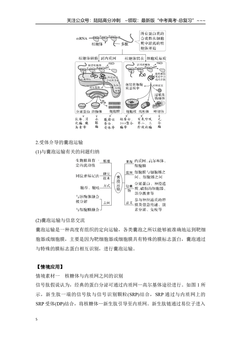 《微专题2：结构与功能观、蛋白质的分选与囊泡运输_06-生物-高考总复习_一轮复习_2026年-生物高考一轮复习_12026届高三生物一轮复习讲义》第5页预览
