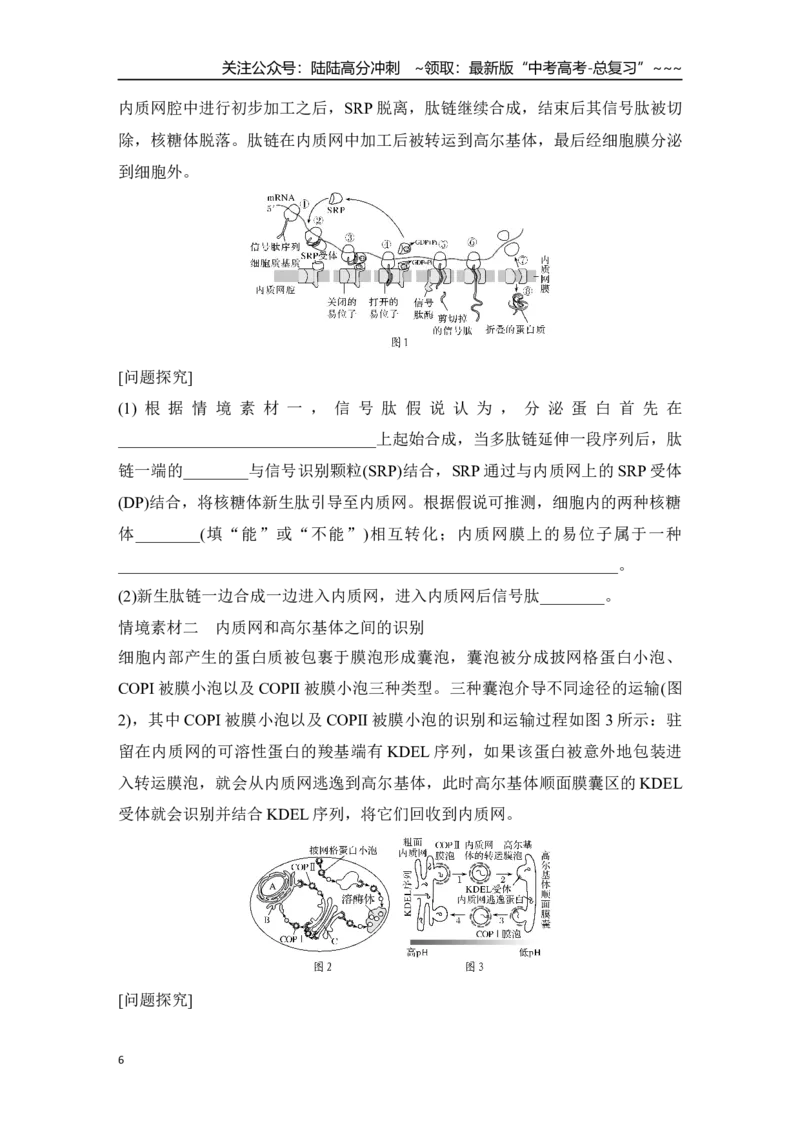 《微专题2：结构与功能观、蛋白质的分选与囊泡运输_06-生物-高考总复习_一轮复习_2026年-生物高考一轮复习_12026届高三生物一轮复习讲义》第6页预览