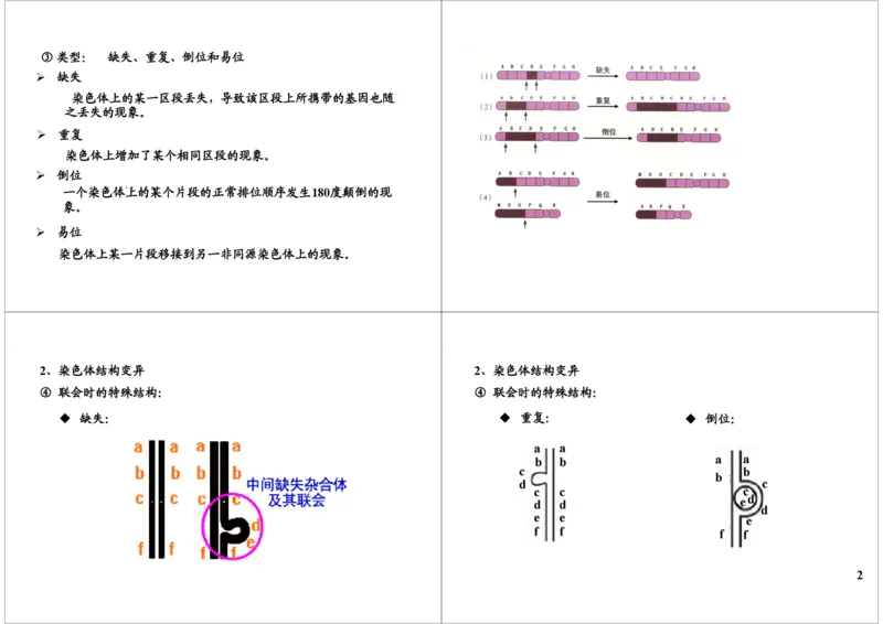《生物变异-染色体变异-cac9b8f866d7_学而思高三全套_高三录播课程各种版本_高三一轮二轮_29709-56高考生物一轮总复习（必修+选修1、3）_第23讲：生物变异-染色体变异（一轮上）》第2页预览