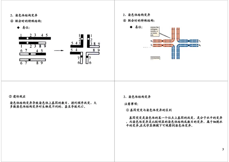 《生物变异-染色体变异-cac9b8f866d7_学而思高三全套_高三录播课程各种版本_高三一轮二轮_29709-56高考生物一轮总复习（必修+选修1、3）_第23讲：生物变异-染色体变异（一轮上）》第3页预览