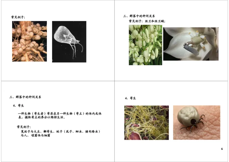 《群落--定义、种间关系、结构、演替（一轮下）-35ef147845c6_学而思高三全套_高三录播课程各种版本_高三一轮二轮_29709-56高考生物一轮总复习（必修+选修1、3）》第6页预览