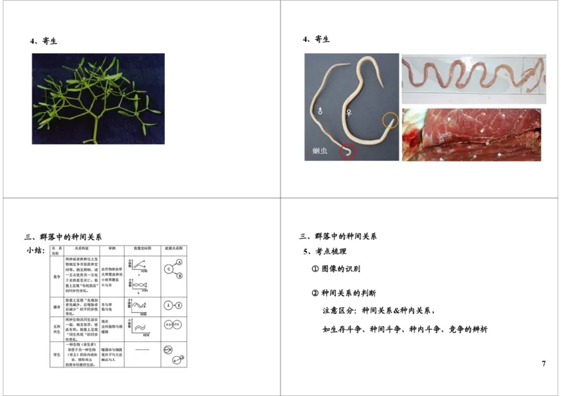 《群落--定义、种间关系、结构、演替（一轮下）-35ef147845c6_学而思高三全套_高三录播课程各种版本_高三一轮二轮_29709-56高考生物一轮总复习（必修+选修1、3）》第7页预览