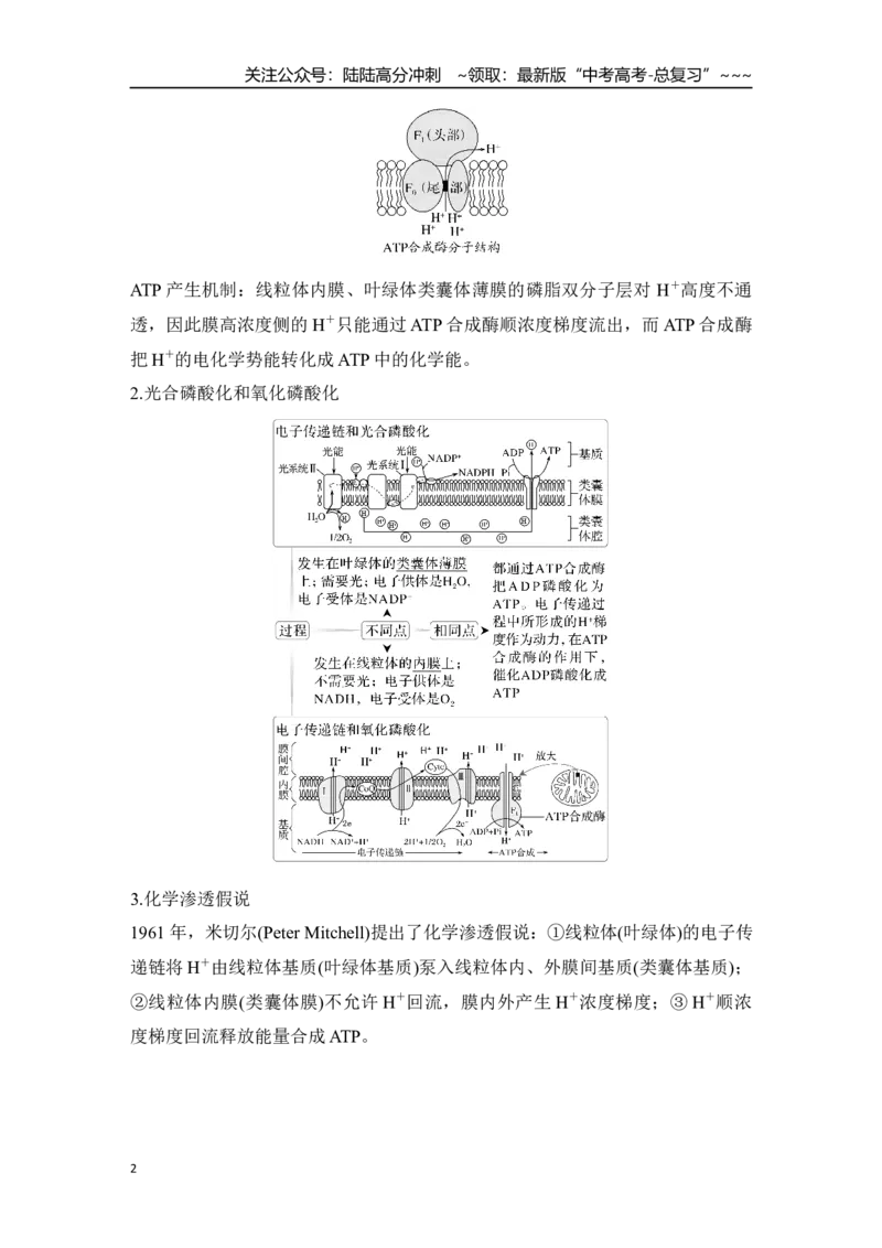 《微专题5：电子传递链、化学渗透假说及逆境胁迫专项训练_06-生物-高考总复习_一轮复习_2026年-生物高考一轮复习_12026届高三生物一轮复习讲义》第2页预览