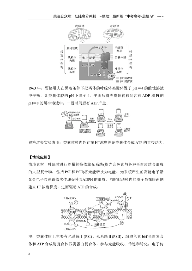 《微专题5：电子传递链、化学渗透假说及逆境胁迫专项训练_06-生物-高考总复习_一轮复习_2026年-生物高考一轮复习_12026届高三生物一轮复习讲义》第3页预览