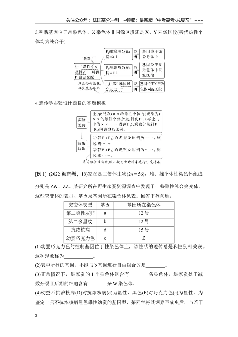 《微专题11：基因定位_06-生物-高考总复习_一轮复习_2026年-生物高考一轮复习_12026届高三生物一轮复习讲义》第2页预览