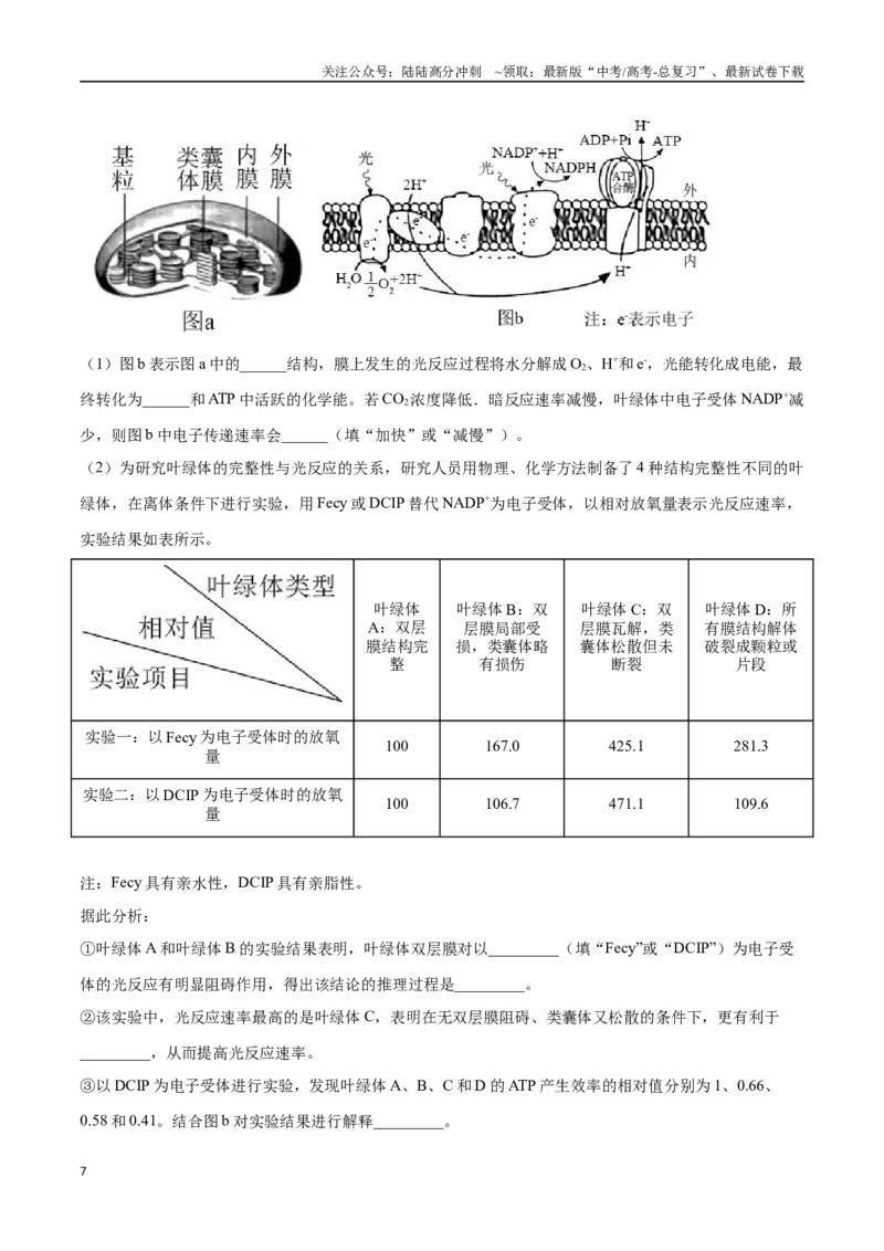 《大题01细胞代谢类（学生版）_06-生物-高考总复习_专项复习_2025年_2025年高考生物大题突破+限时集训（安徽专用）》第7页预览