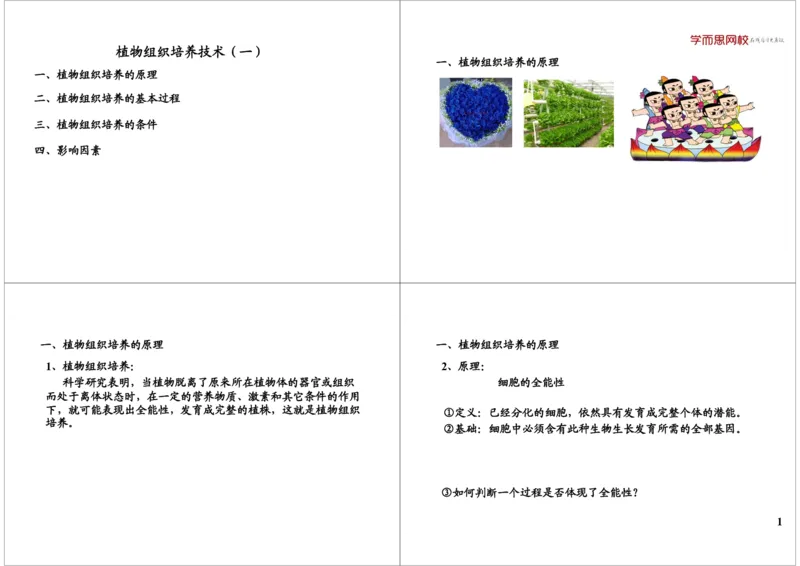 《植物组织培养技术（一）（一轮下）-d2738115513b_学而思高三全套_高三录播课程各种版本_高三一轮二轮_29709-56高考生物一轮总复习（必修+选修1、3）》第1页预览