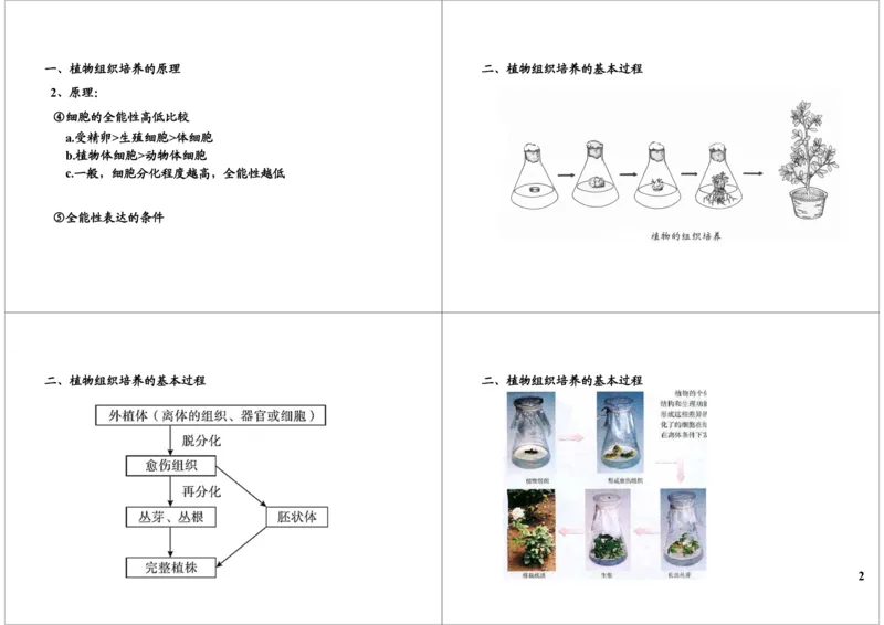 《植物组织培养技术（一）（一轮下）-d2738115513b_学而思高三全套_高三录播课程各种版本_高三一轮二轮_29709-56高考生物一轮总复习（必修+选修1、3）》第2页预览