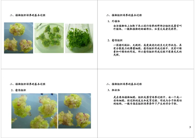 《植物组织培养技术（一）（一轮下）-d2738115513b_学而思高三全套_高三录播课程各种版本_高三一轮二轮_29709-56高考生物一轮总复习（必修+选修1、3）》第3页预览