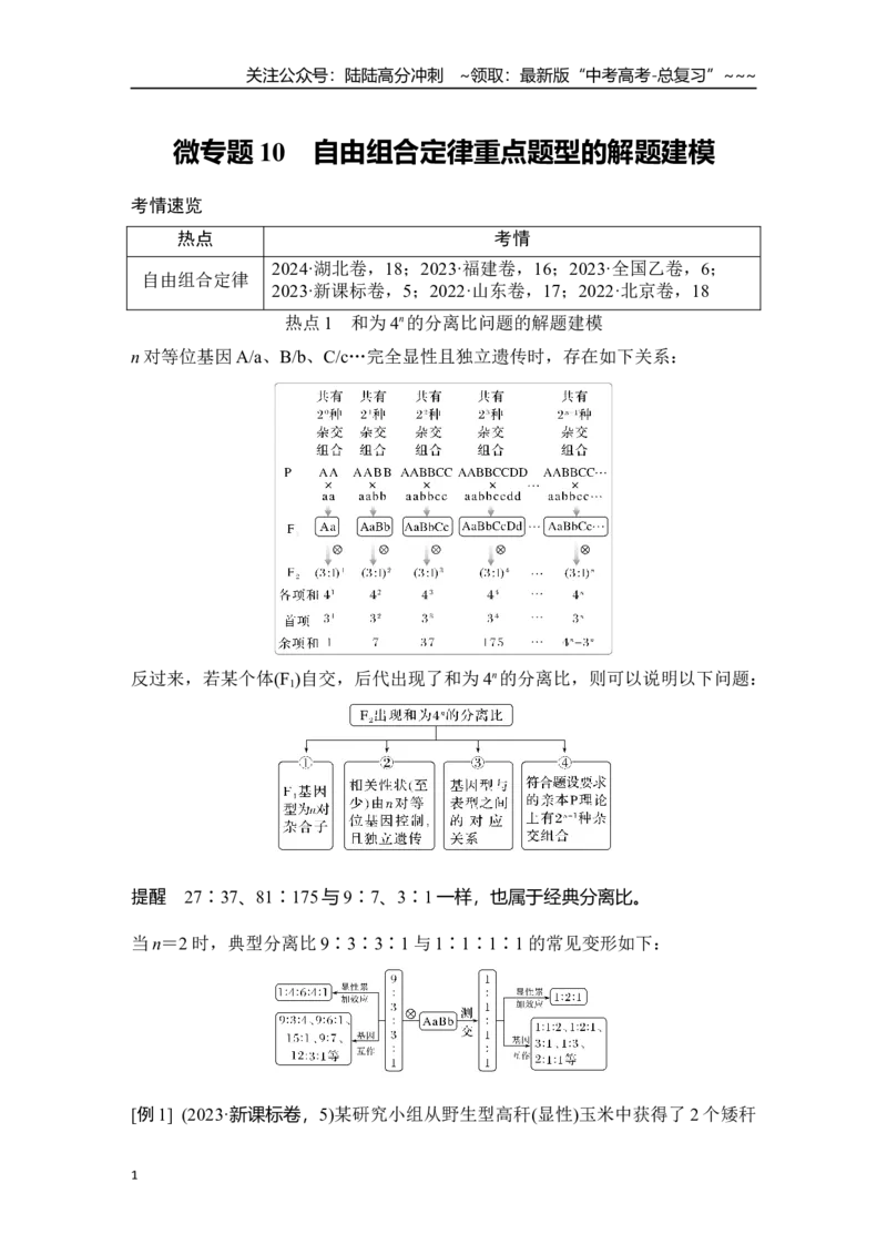 《微专题10：自由组合定律重点题型的解题建模_06-生物-高考总复习_一轮复习_2026年-生物高考一轮复习_12026届高三生物一轮复习讲义》第1页预览