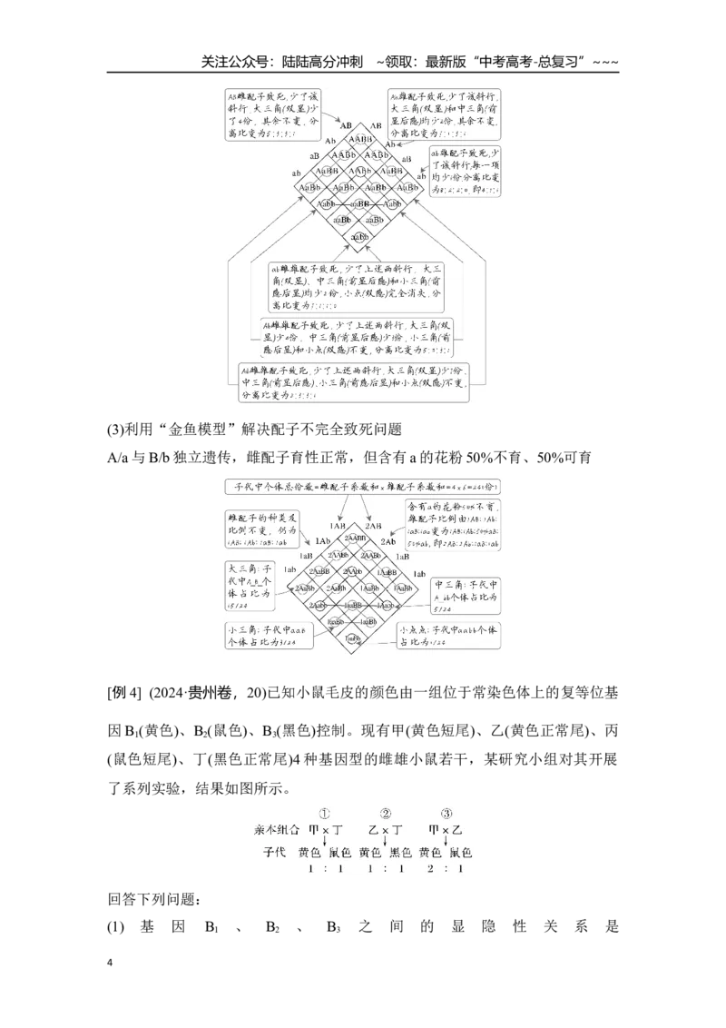 《微专题10：自由组合定律重点题型的解题建模_06-生物-高考总复习_一轮复习_2026年-生物高考一轮复习_12026届高三生物一轮复习讲义》第4页预览