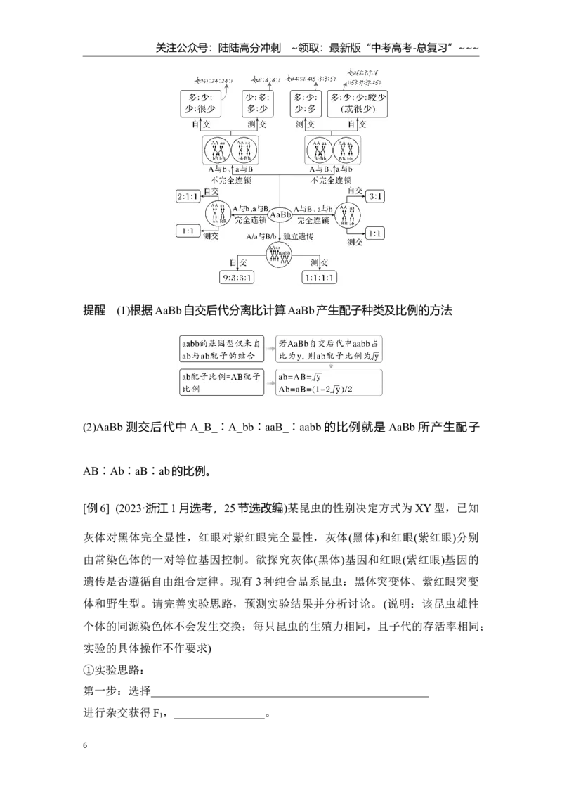 《微专题10：自由组合定律重点题型的解题建模_06-生物-高考总复习_一轮复习_2026年-生物高考一轮复习_12026届高三生物一轮复习讲义》第6页预览